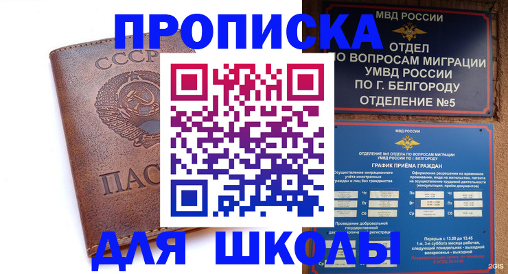 прописка для кредита в Пласте